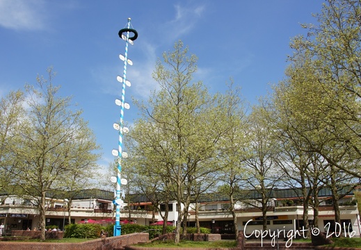 Maibaum - display this album Maibaum
