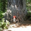 Redwood State Park