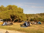 Murter , Betina Camping
