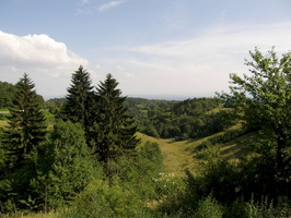 Juporje pri Metliki , Slovenia
