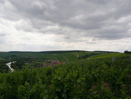 Escherndorf , Franken