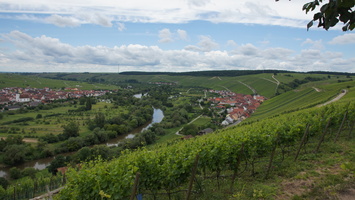 Vogelsburg Escherndorf