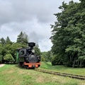 Dampflokomotive am Freilandmuseum