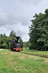 Dampflokomotive am Freilandmuseum