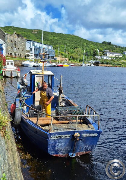 249_irland.jpg